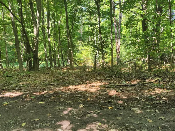 594 Wandering Woods Ct, Beaver Island, MI 49782