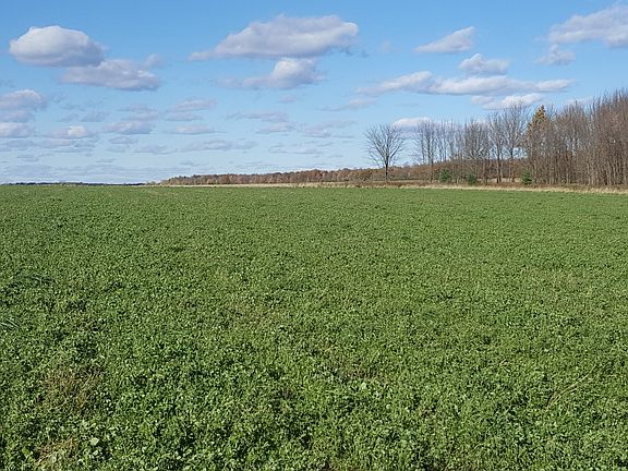 2nd image of 000 Hwy 64