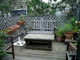 Rented by Maison International