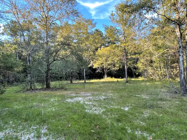 Prison Ridge Rd, Leakesville, MS 39451