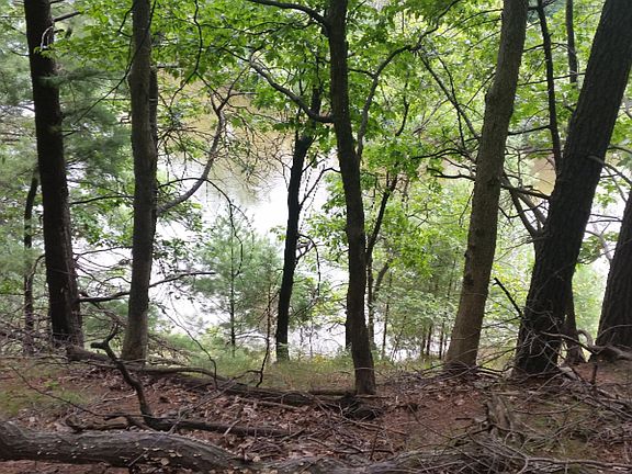 3rd image of 0 S River Hollow Dr