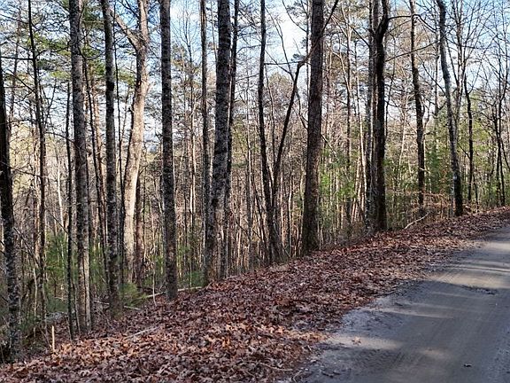 3rd image of 1 Gold Valley Rd