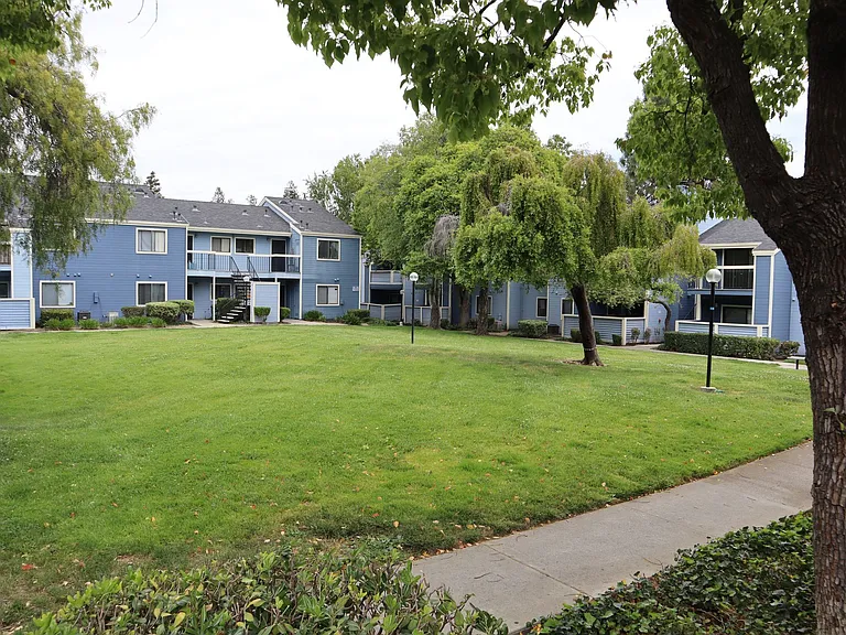 Mosaic Apartments — Photo 10