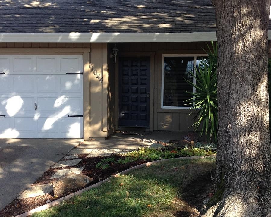 NEW dual paned windows/sliding door