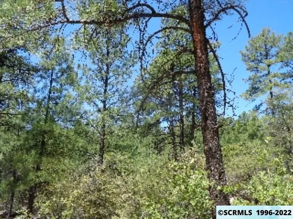 Xx Mystic Way Rd, Pinos Altos, NM 88053