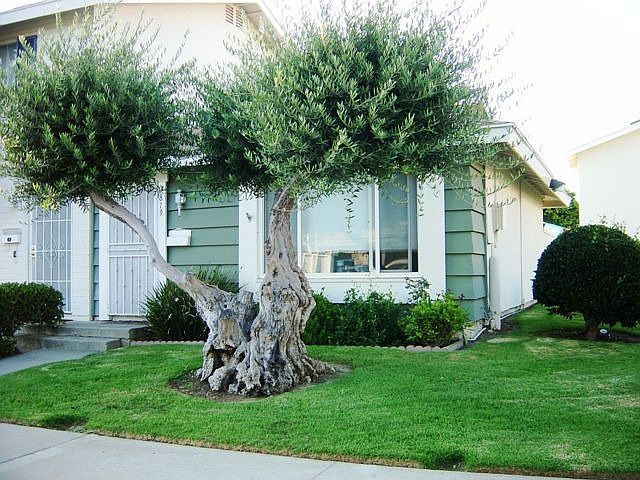 Front of single story Townhome- only a few miles to the beach!