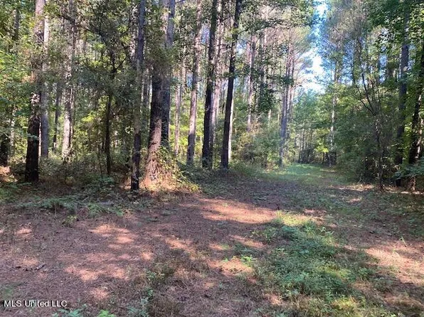 Saint Anne Rd, Carthage, MS 39051
