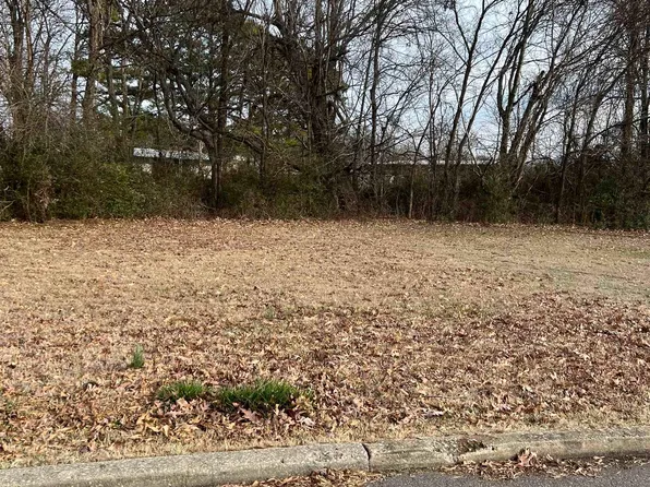 0 Naber St, Ripley, TN 38063