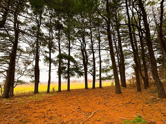 4th image of 14839 Westfall Rd Lot 1