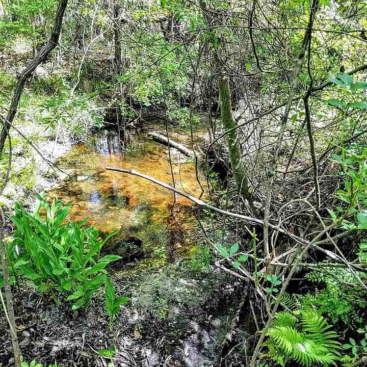 1st image of 27204 N State Road 121