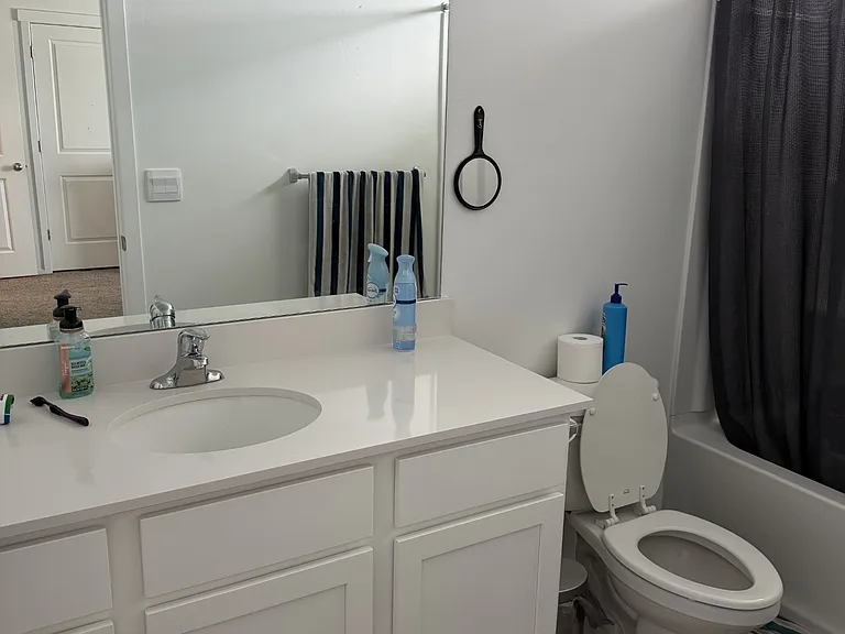 Master bathroom
