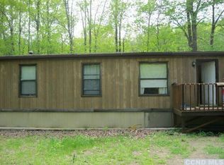 279 Edison Timmerman Rd, Cairo, NY 12413