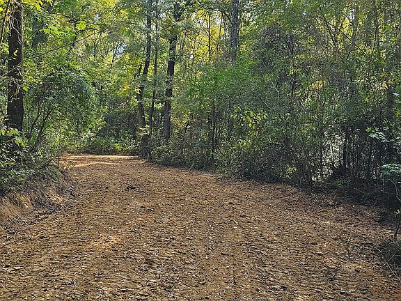 4th image of Highway 35