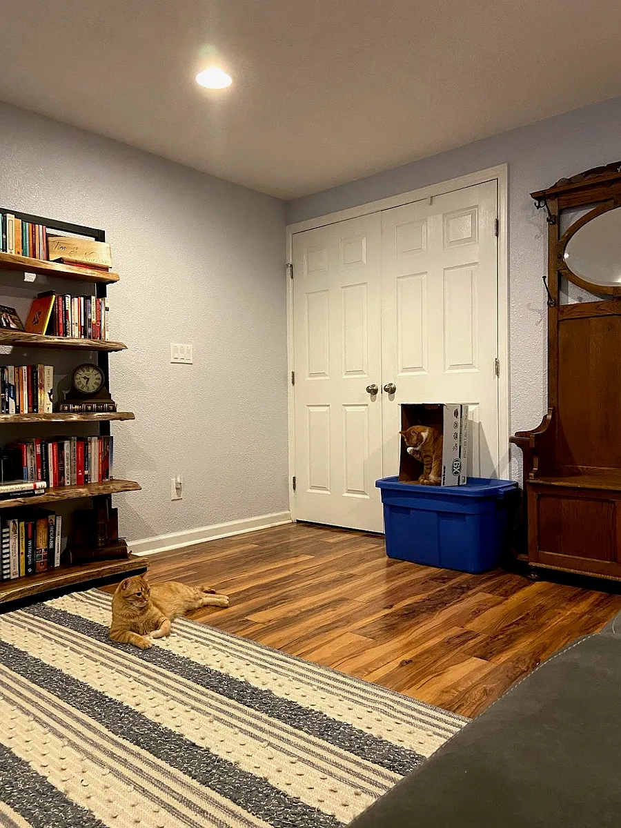 Building Photo - 2242 Ouray Ct