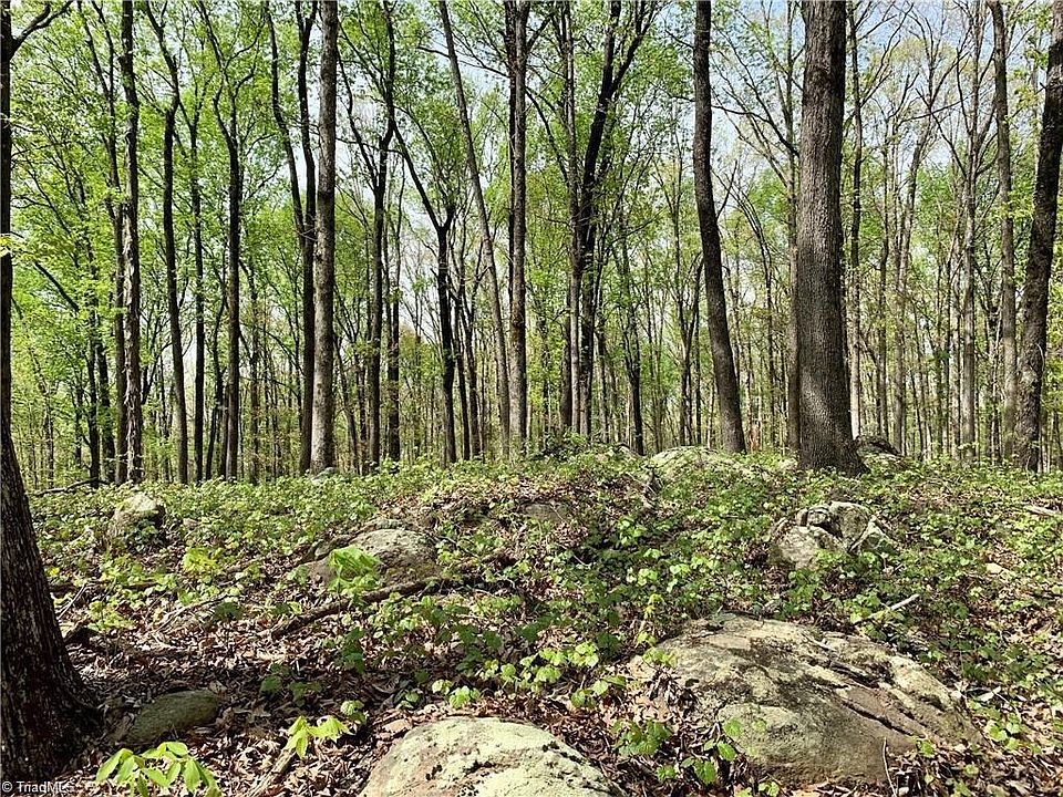 1st image of 1201-4B Highway 49 Lot 4B