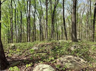 1201-4B Highway 49 LOT 4B, Denton, NC 27239