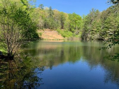 1293 Hidden Lake Dr, Cherry Log, GA, 30522