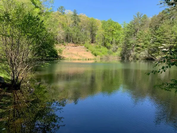 1293 Hidden Lake Dr, Cherry Log, GA 30522