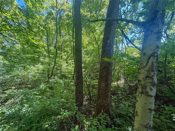 Keffer Rd, Stockport, OH 43787