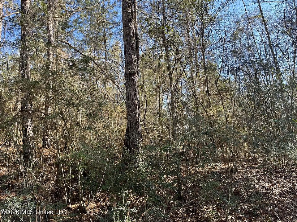 2nd image of 197 W Woodland Dr Lot 197