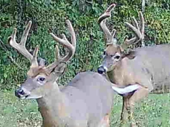 W Co Rd 250 S, Paoli, IN 47454