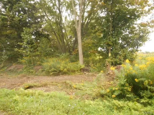 1241 County Line Rd, Fulton, NY 13069