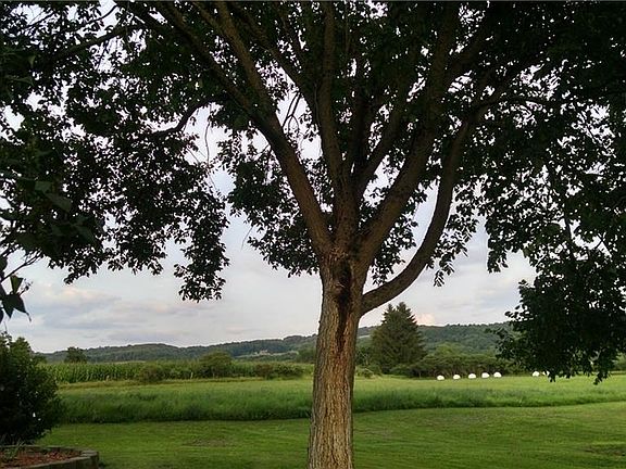 Gorgeous views of the expansive countryside.