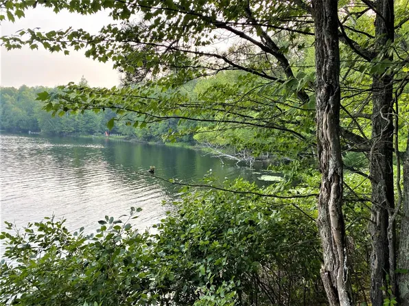 On Cth Ff, Mercer, WI 54547