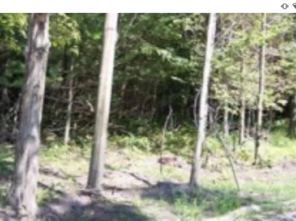 0 117th Ave, Fennville, MI 49408