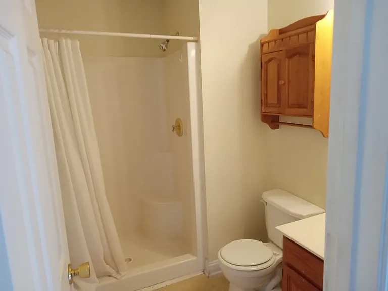 265 Bronze Leaf Dr — Photo 11