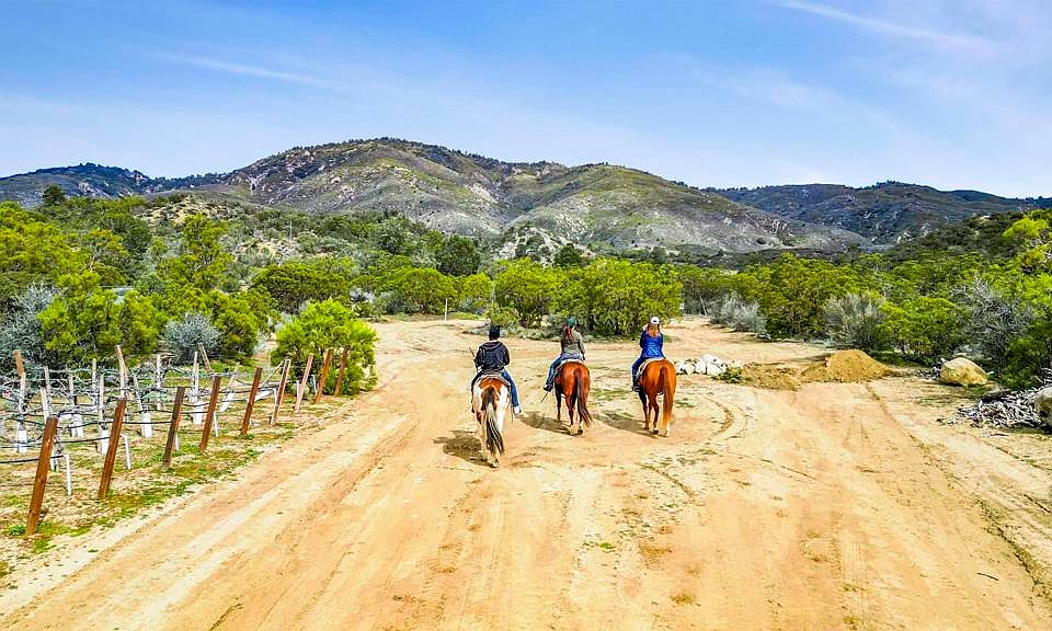 55569 Sunny Cir, Anza, CA 92539 | MLS #NDP2508968 | Zillow