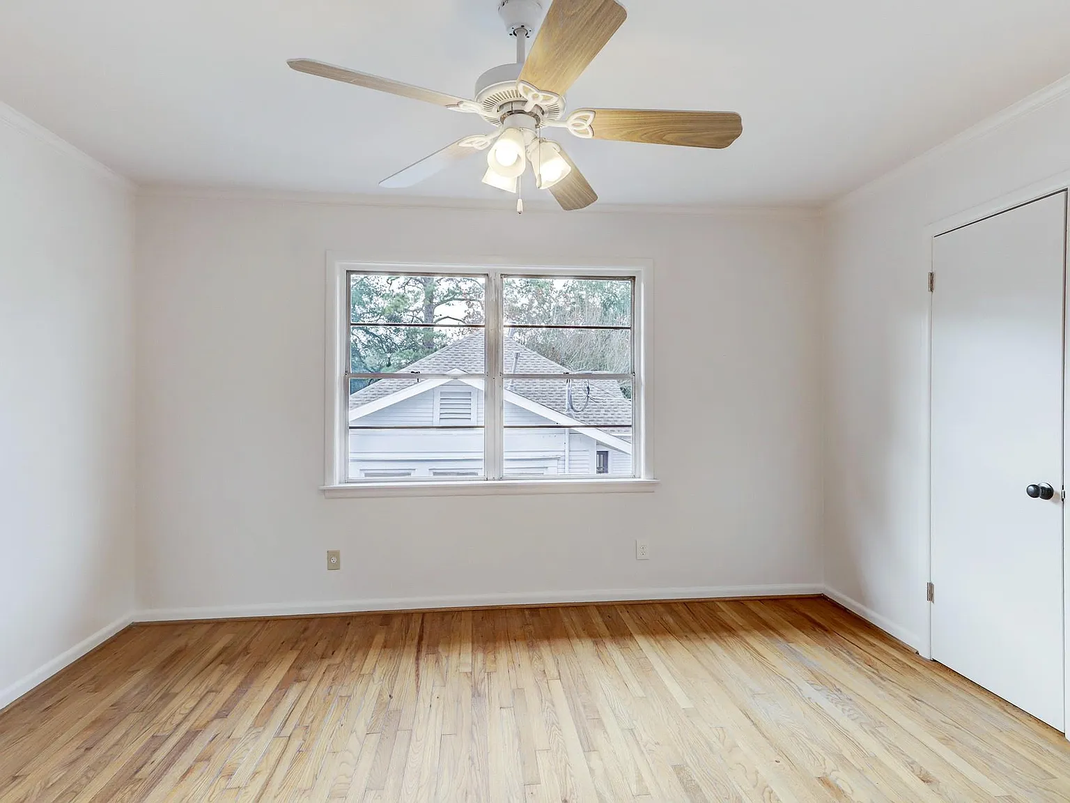2 bed, 1.0 bath, 782 sqft, $2,000 — Photo 4