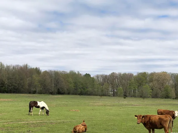 0 Purcell Rd, Paragould, AR 72450