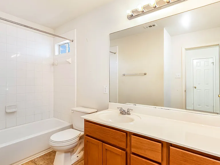 714 Celosia — Photo 16