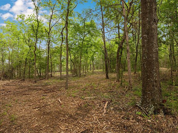 5th image of 4577 Old Navasota Rd