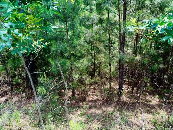 267 Garden St, Blairsville, GA 30512