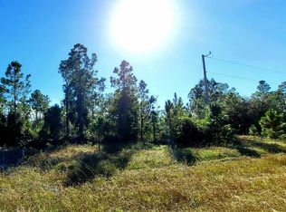 1244 Sentinela Blvd, Lehigh Acres, FL 33974