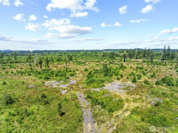 0 Sareault Road, Toledo, WA 98591