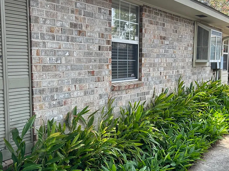 10765 Misty Vale Ave — Photo 12