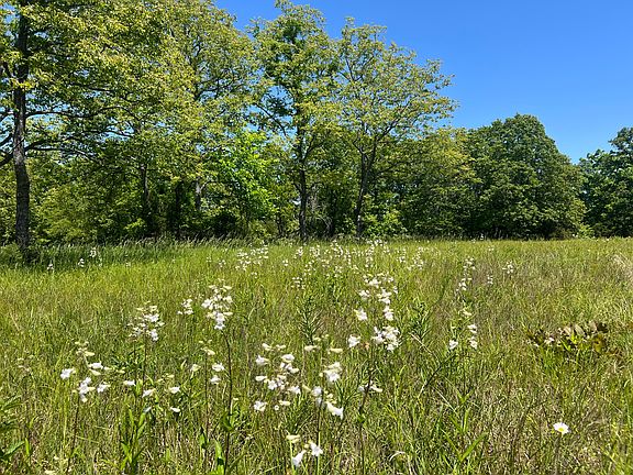 3rd image of 000 Greentree Road