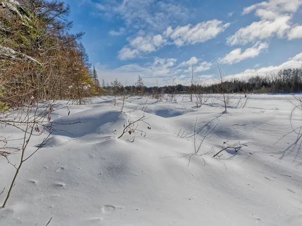 Off Hwy #45-1, Three Lakes, WI 54562