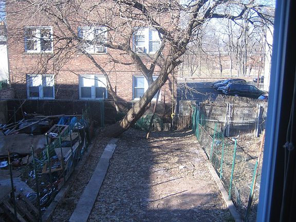 This is the backyard in the winter time