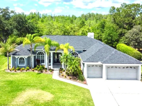 18930 Saint Laurent Dr, Lutz, FL 33558