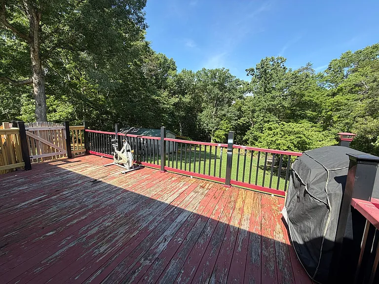 207 Big Tree Dr — Photo 16