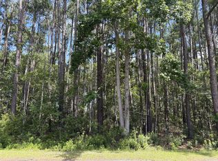 110 Rayland Cir, Walterboro, SC 29488