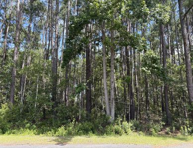 110 Rayland Cir, Walterboro, SC, 29488