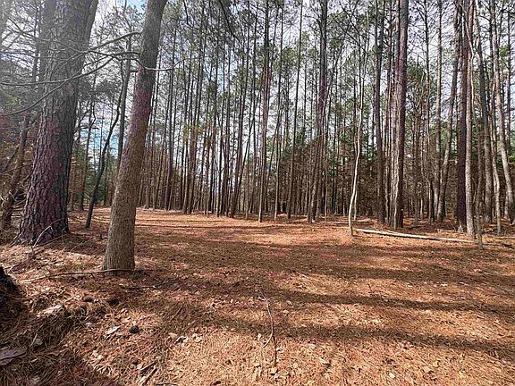 3rd image of 0 Union Hwy