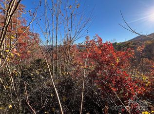 66 Musket Rd, Almond, NC 28702