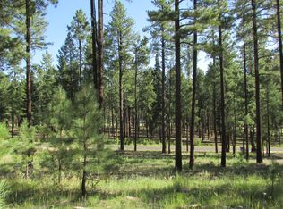 8 County Road 2194, Alpine, AZ 85920