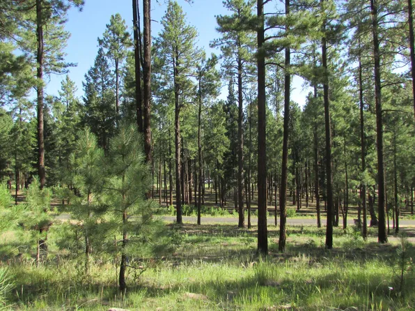 8 County Road 2194, Alpine, AZ 85920